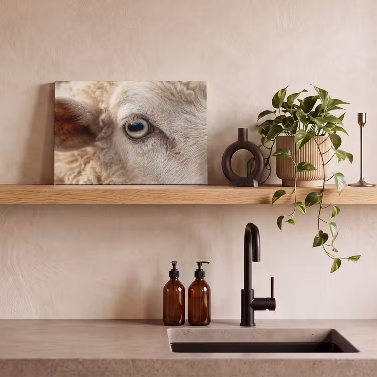 Canvas schilderij - Schaap - Oog - Wit — 4