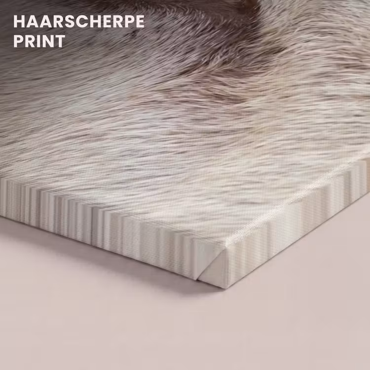 Canvas schilderij - Schaap - Oog - Wit — 5