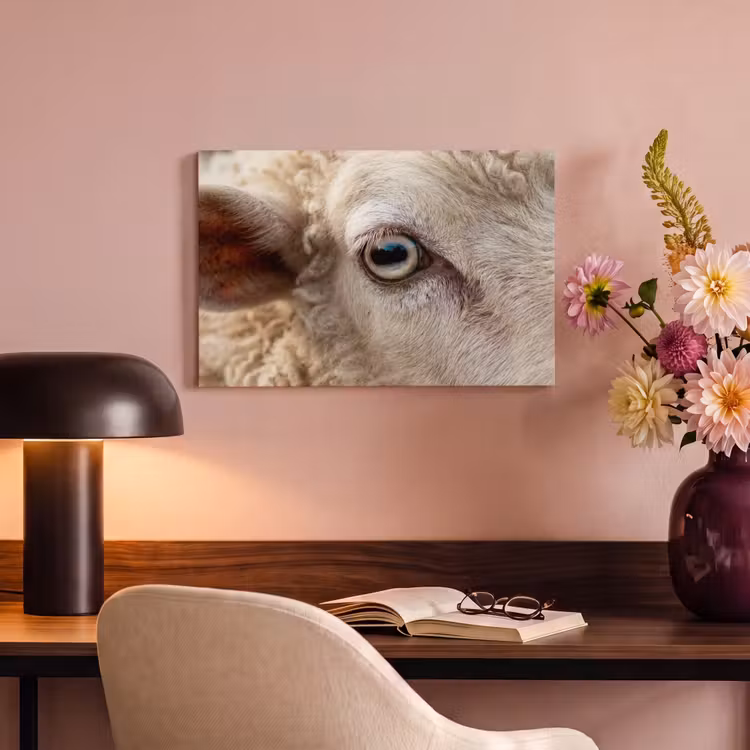 Canvas schilderij - Schaap - Oog - Wit — 6