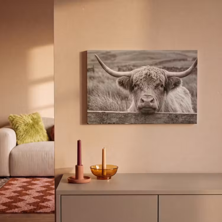 Canvas schilderij - Schotse hooglander - Zwart - Wit - Hout — 2