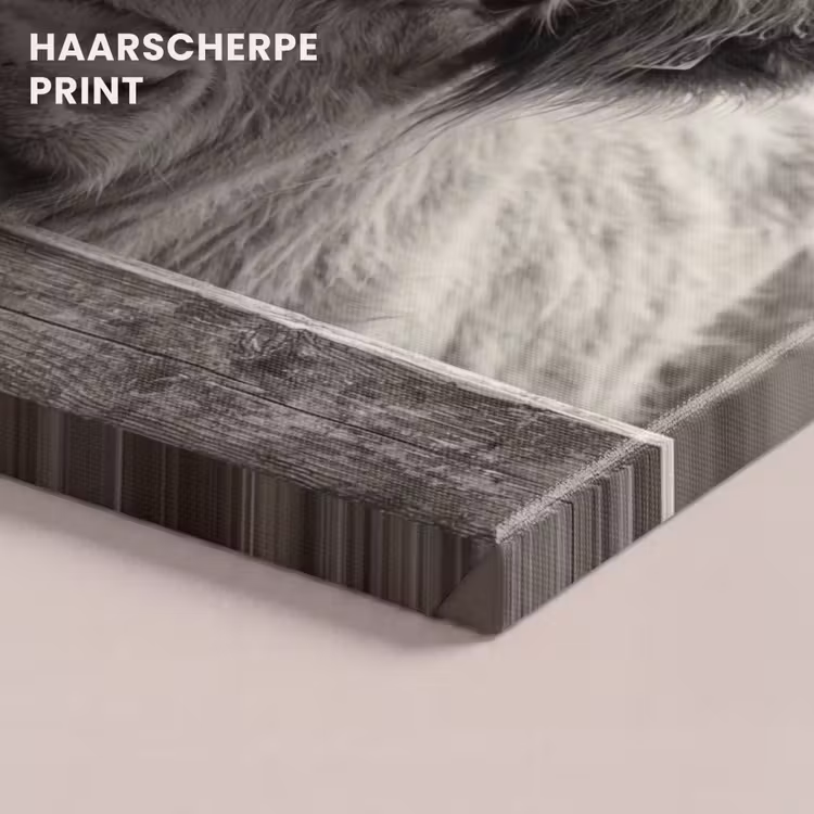 Canvas schilderij - Schotse hooglander - Zwart - Wit - Hout — 5