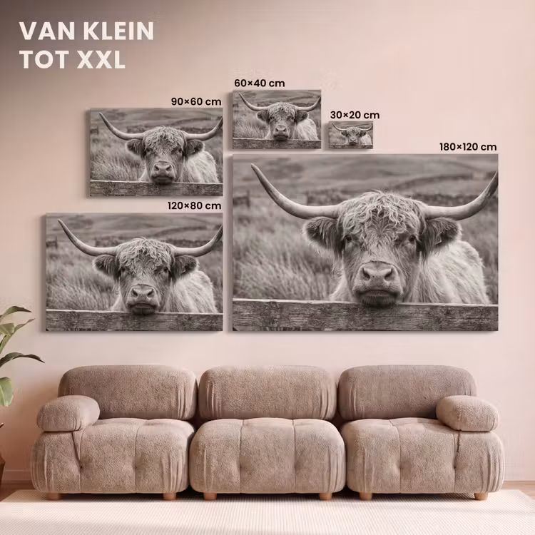 Canvas schilderij - Schotse hooglander - Zwart - Wit - Hout — 8