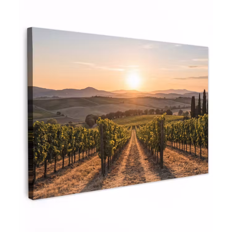 Canvas schilderij - Wijngaard - Zonsondergang - Landschap — 1