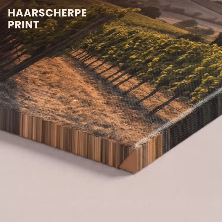 Canvas schilderij - Wijngaard - Zonsondergang - Landschap — 5
