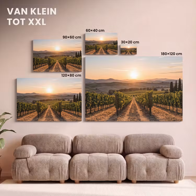 Canvas schilderij - Wijngaard - Zonsondergang - Landschap — 8