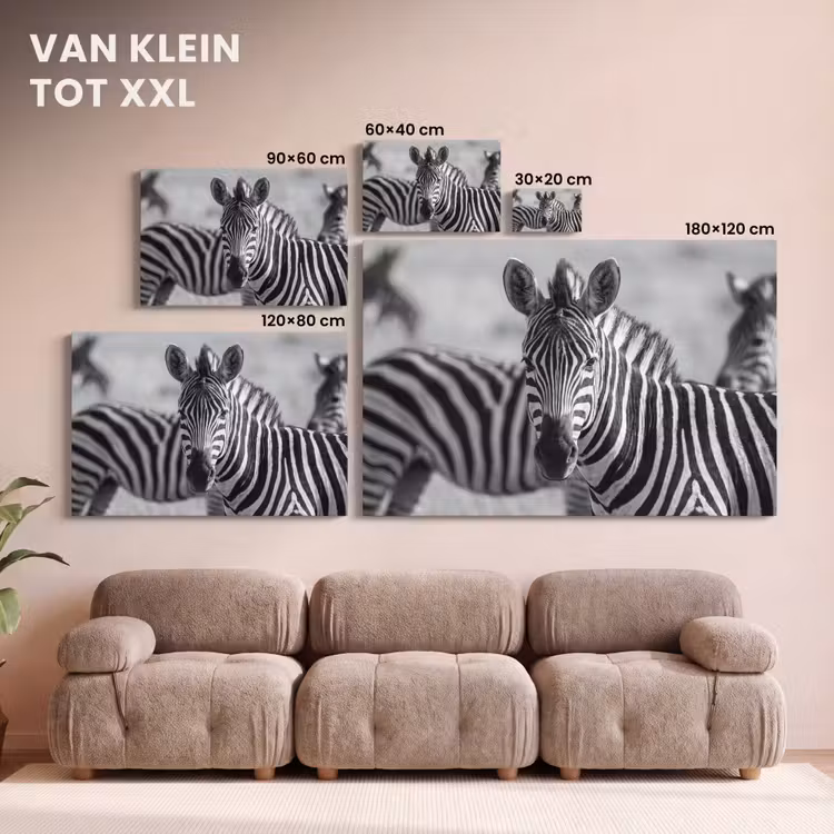 Canvas schilderij - Zebra's - Zwart - Wit — 8