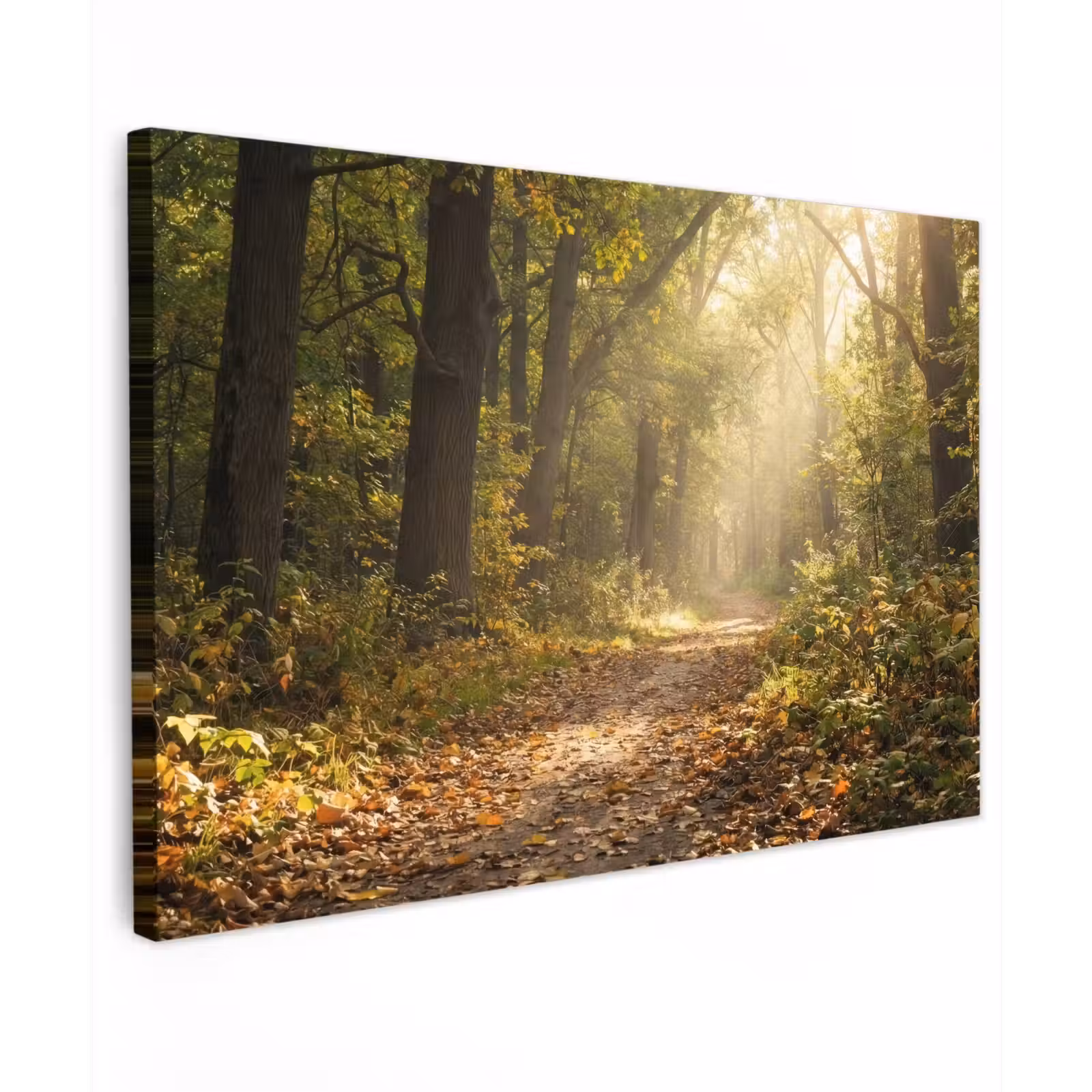 Canvas schilderij - Zonlicht - Bospad - Bomen — 1