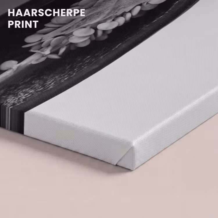 Canvas schilderij - Pepers - Zwart - Wit - Zaadlijsten — 5