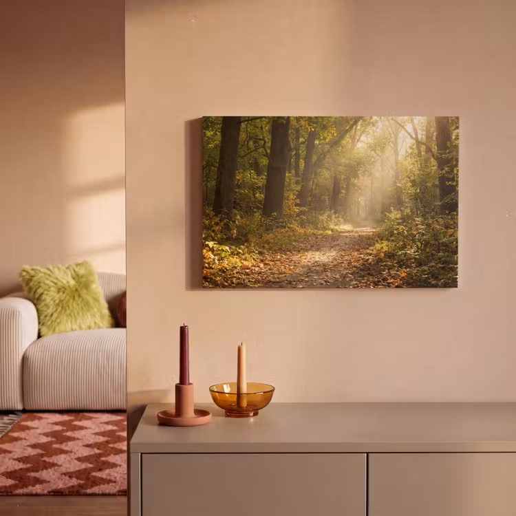 Canvas schilderij - Zonlicht - Bospad - Bomen — 2