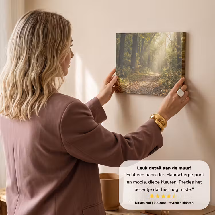 Canvas schilderij - Zonlicht - Bospad - Bomen — 3