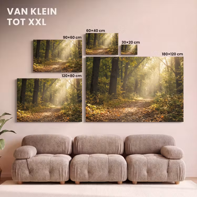 Canvas schilderij - Zonlicht - Bospad - Bomen — 8