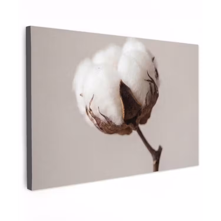 Canvas schilderij - Katoenbol - Minimalistisch - Wit — 1