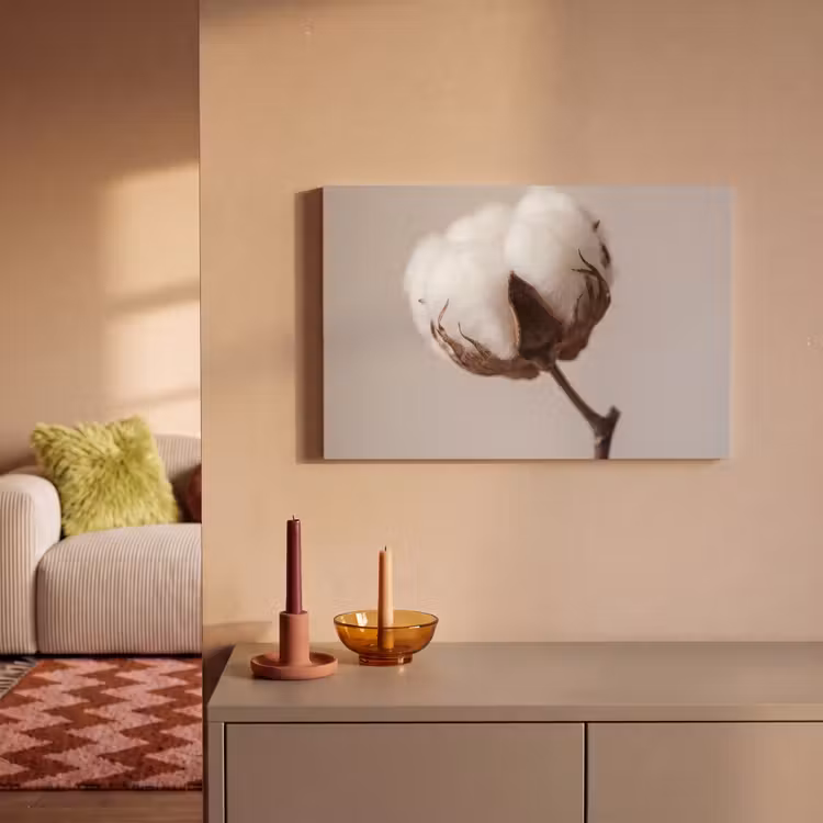 Canvas schilderij - Katoenbol - Minimalistisch - Wit — 2