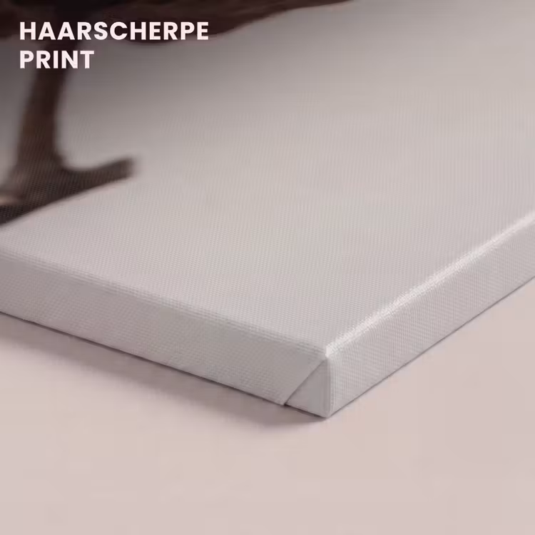 Canvas schilderij - Katoenbol - Minimalistisch - Wit — 5