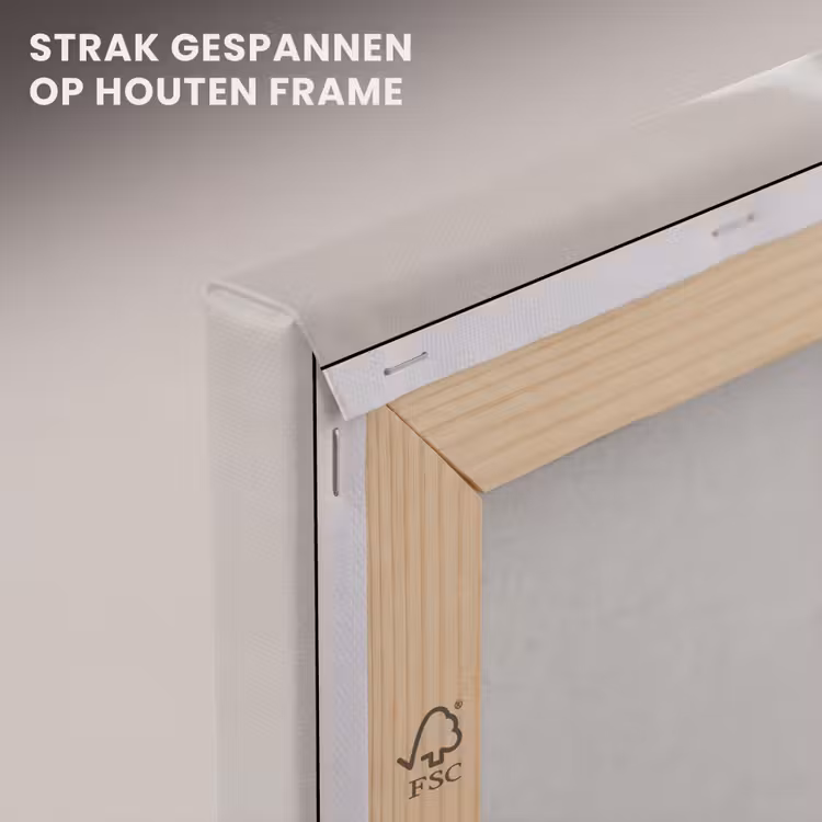 Canvas schilderij - Katoenbol - Minimalistisch - Wit — 7