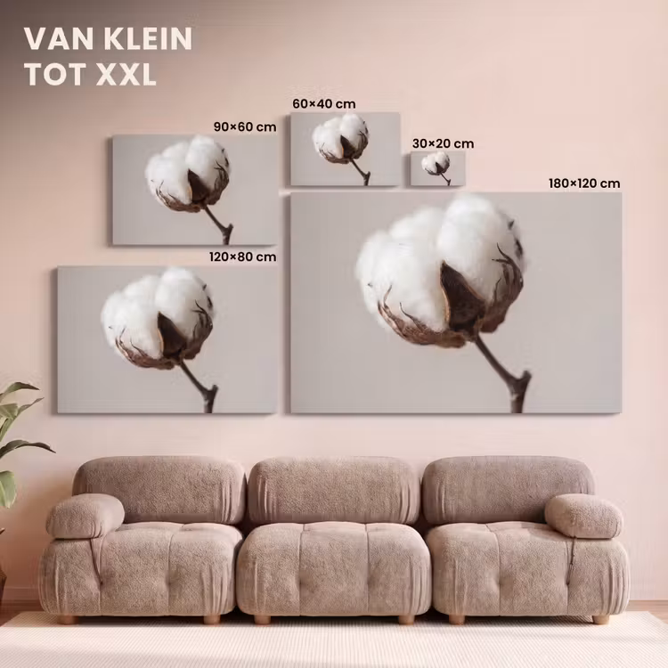 Canvas schilderij - Katoenbol - Minimalistisch - Wit — 8
