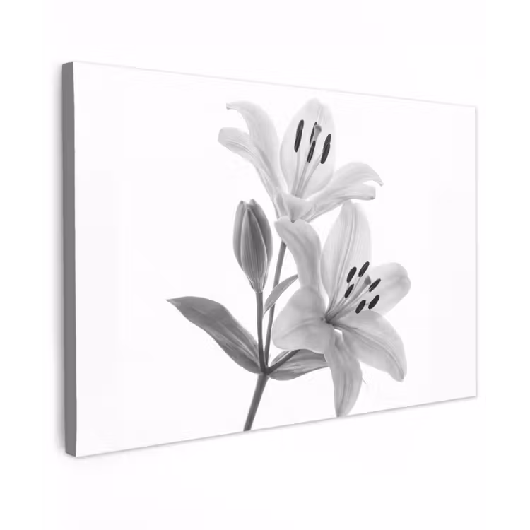 Canvas schilderij - Lelies - Elegant - Zwart - Wit — 1