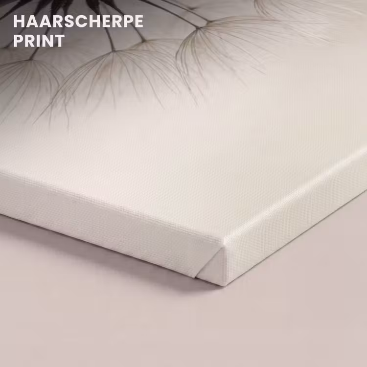 Canvas schilderij - Paardenbloem - Minimalistisch - Wit — 5