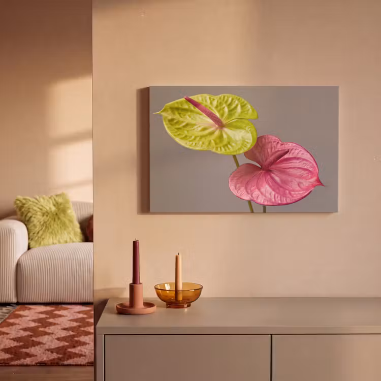 Canvas schilderij - Planten - Anthurium - Groen - Roze — 2