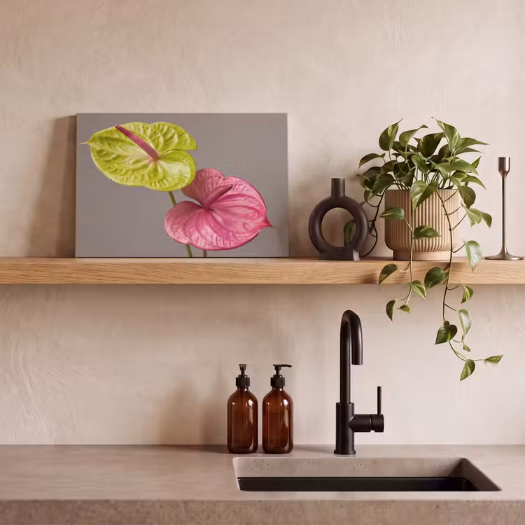 Canvas schilderij - Planten - Anthurium - Groen - Roze — 4