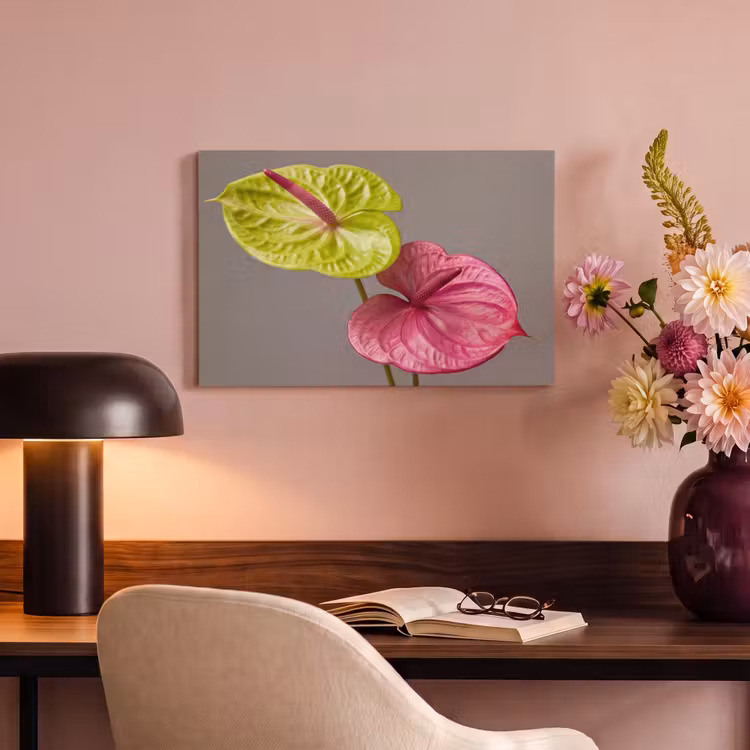 Canvas schilderij - Planten - Anthurium - Groen - Roze — 6