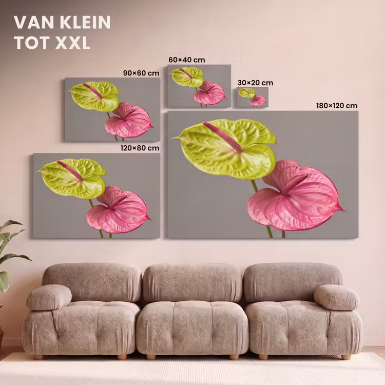Canvas schilderij - Planten - Anthurium - Groen - Roze — 8