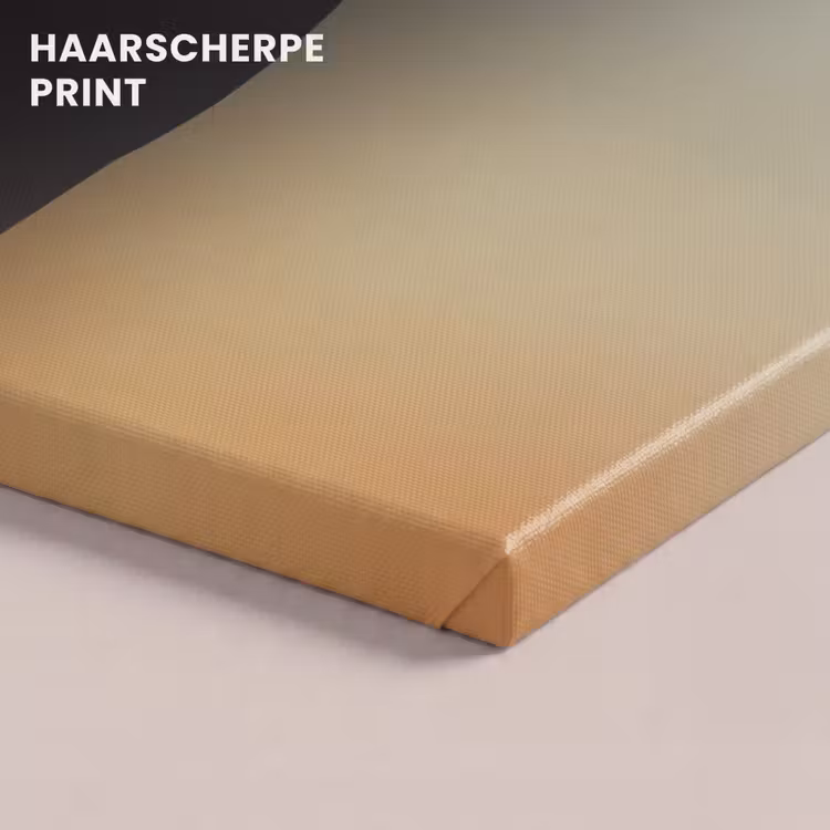 Canvas schilderij - Minimalistisch - Silhouet - Oranje — 5