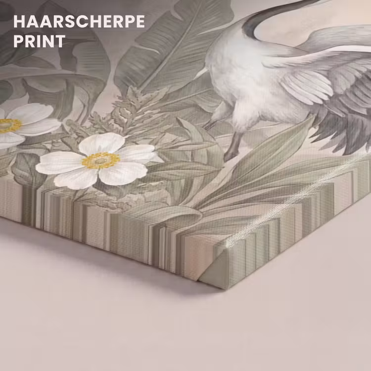 Canvas schilderij - Kraanvogels - Natuur - Roze — 5