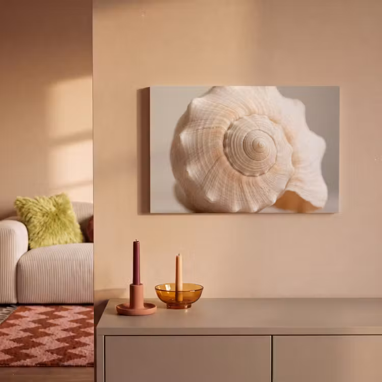 Canvas schilderij - Schelp - Detail - Beige — 2