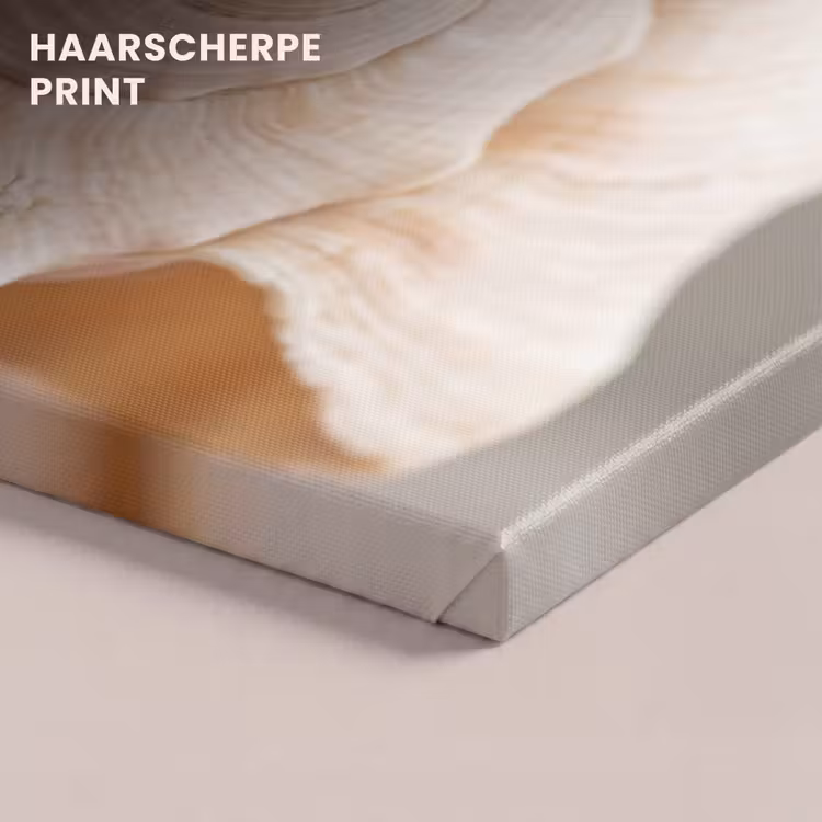 Canvas schilderij - Schelp - Detail - Beige — 5