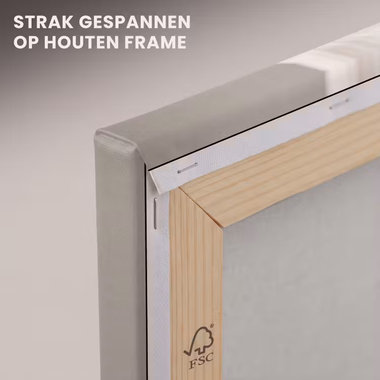 Canvas schilderij - Schelp - Detail - Beige — 7