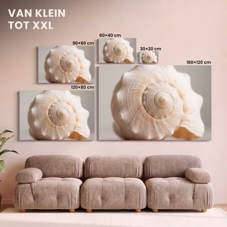 Canvas schilderij - Schelp - Detail - Beige — 8