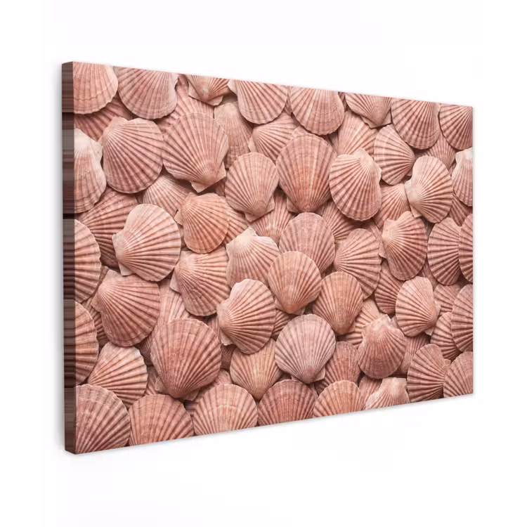 Canvas schilderij - Schelpen - Patroon - Roze — 1