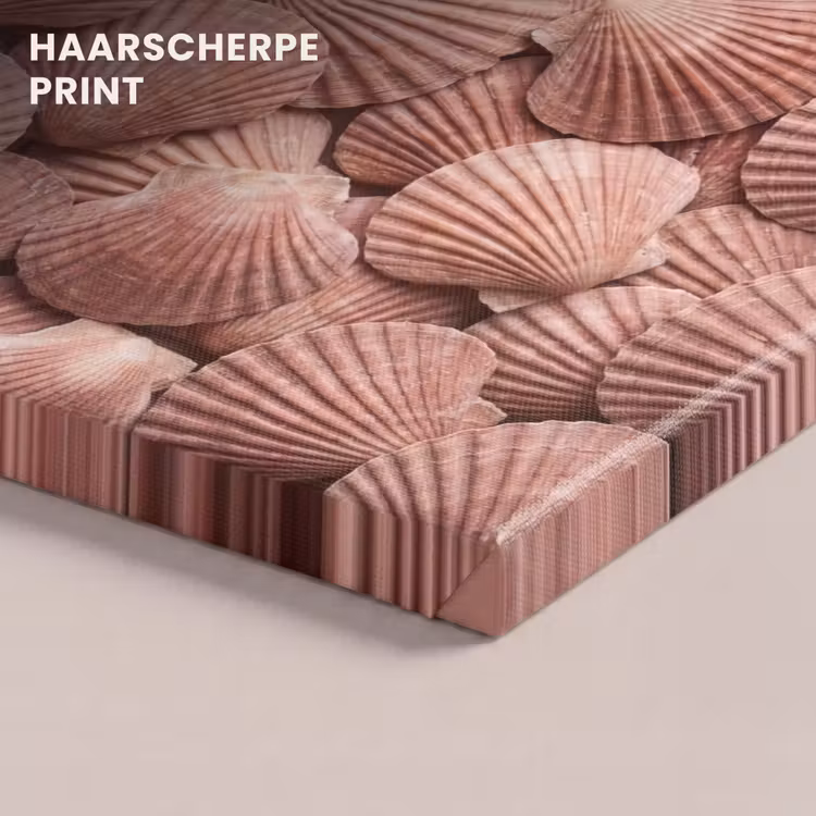 Canvas schilderij - Schelpen - Patroon - Roze — 5