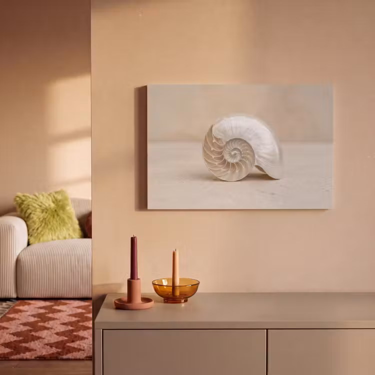 Canvas schilderij - Schelp - Spiraal - Beige — 2
