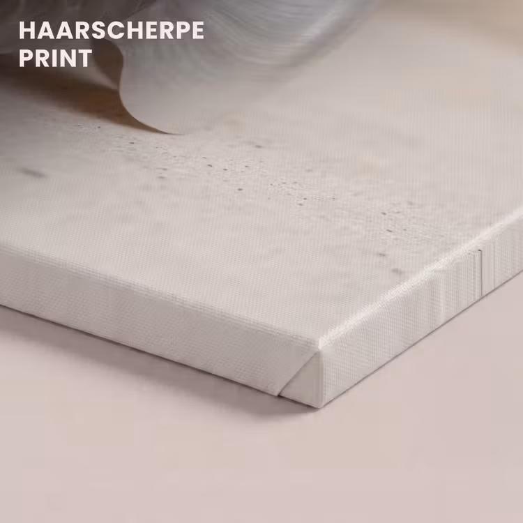 Canvas schilderij - Schelp - Spiraal - Beige — 5