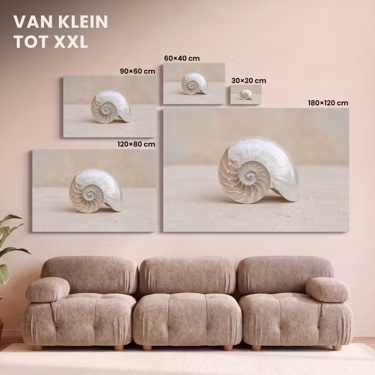 Canvas schilderij - Schelp - Spiraal - Beige — 8