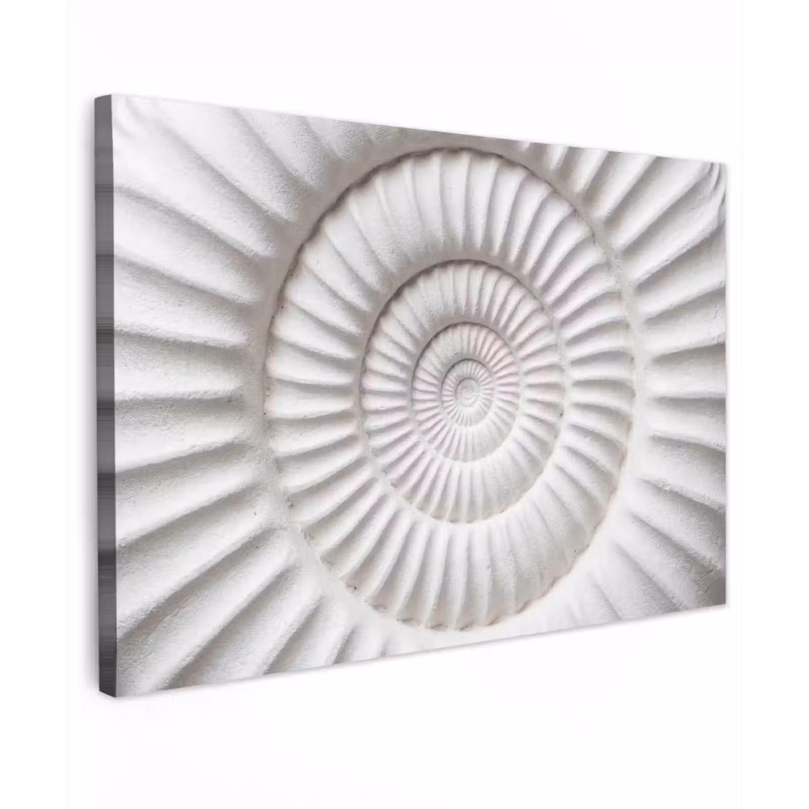Canvas schilderij - Schelp - Spiraal - Wit — 1