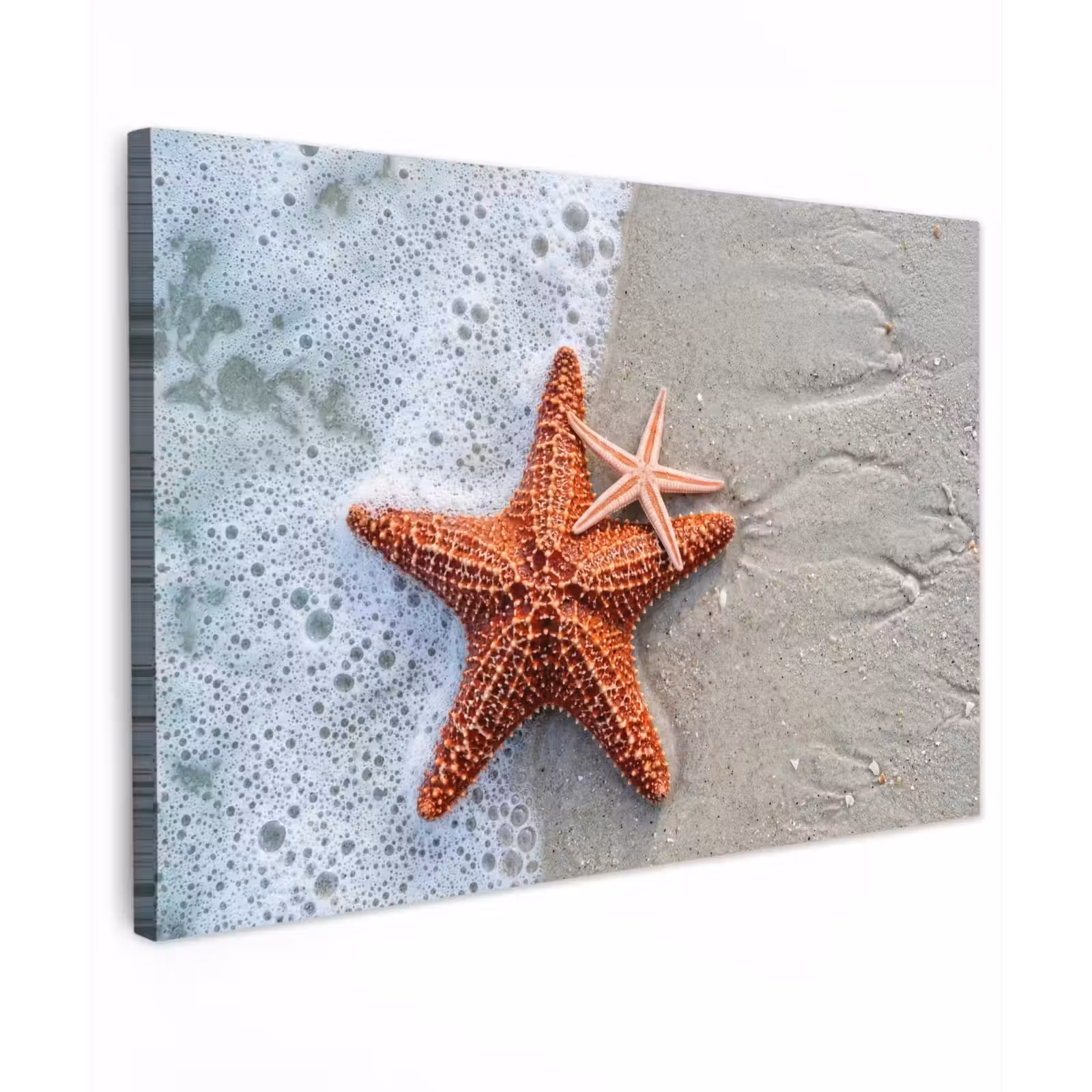 Canvas schilderij - Zeester - Strand - Zee — 1