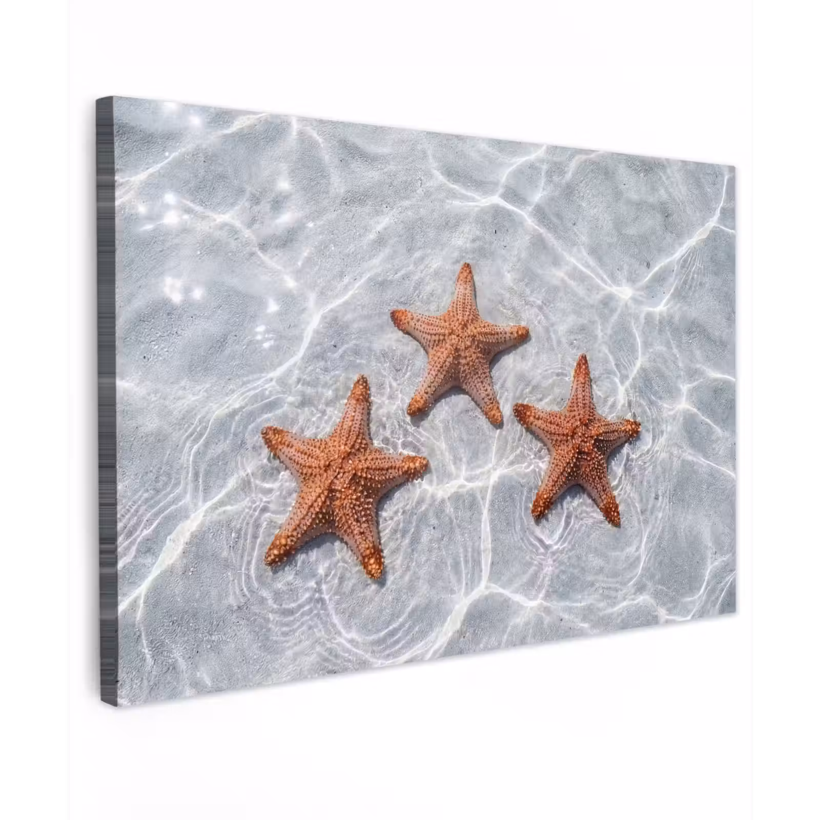 Canvas schilderij - Zeesterren - Water - Helder — 1
