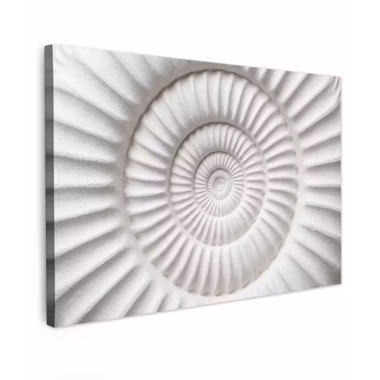 Canvas schilderij - Schelp - Spiraal - Wit — 1