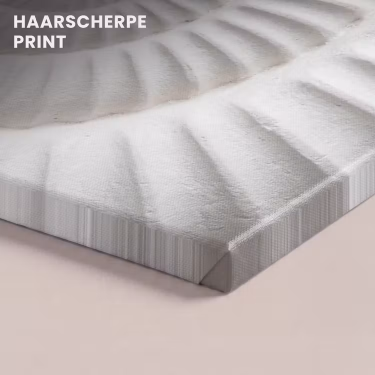 Canvas schilderij - Schelp - Spiraal - Wit — 5