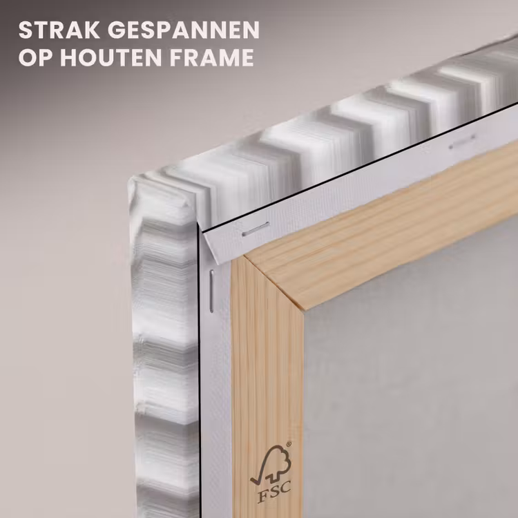 Canvas schilderij - Schelp - Spiraal - Wit — 7