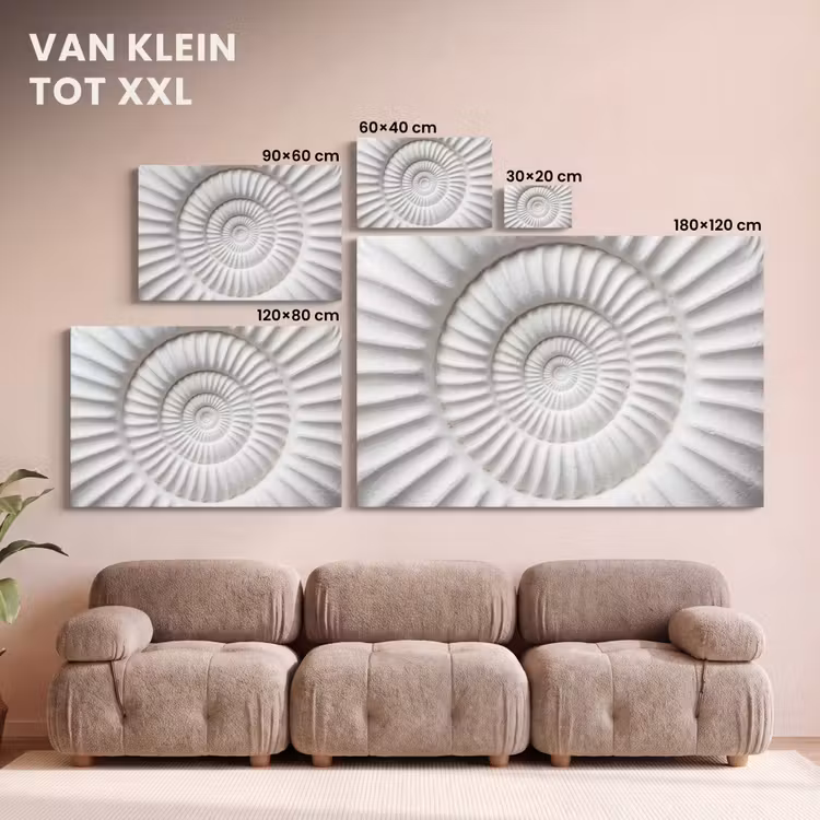 Canvas schilderij - Schelp - Spiraal - Wit — 8