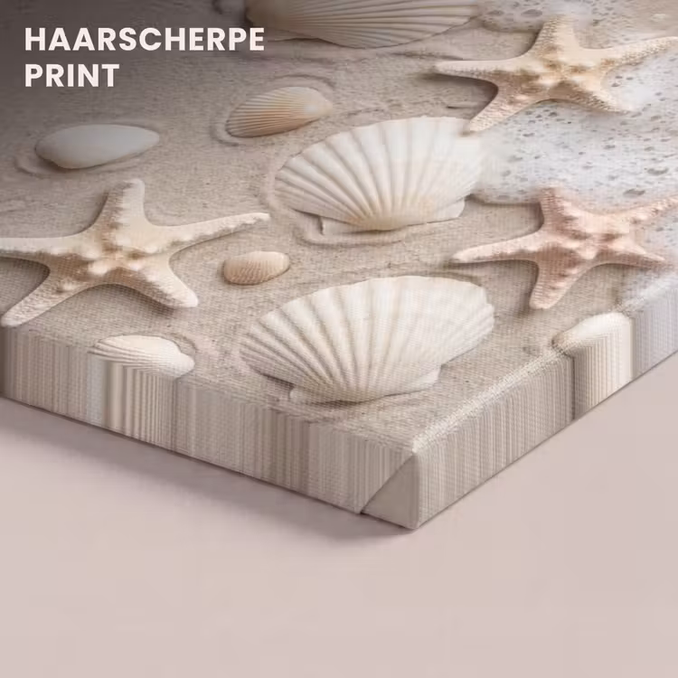 Canvas schilderij - Schelpen - Zeesterren - Strand — 5