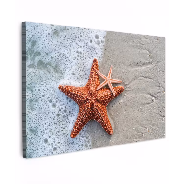 Canvas schilderij - Zeester - Strand - Zee — 1