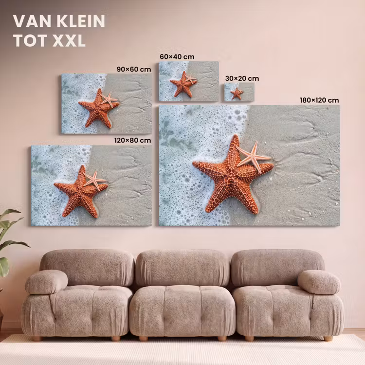 Canvas schilderij - Zeester - Strand - Zee — 8