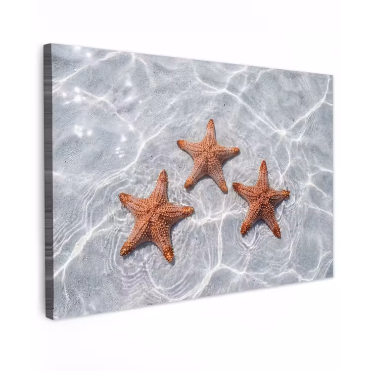 Canvas schilderij - Zeesterren - Water - Helder — 1