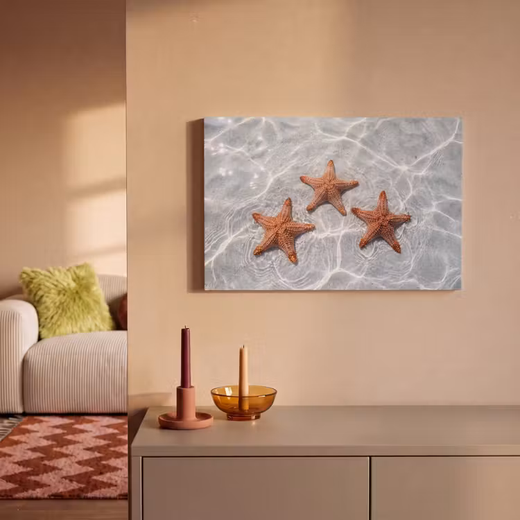 Canvas schilderij - Zeesterren - Water - Helder — 2