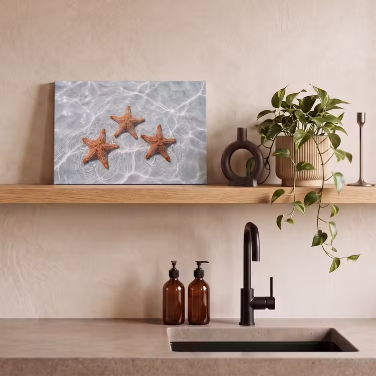 Canvas schilderij - Zeesterren - Water - Helder — 4